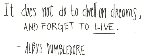 tumblr_lv5x64Yb3Y1qainbgo1_500