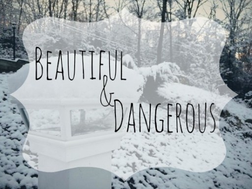 10755838_599764176796008_642851274_n