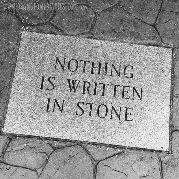 Processed with VSCOcam with b5 preset