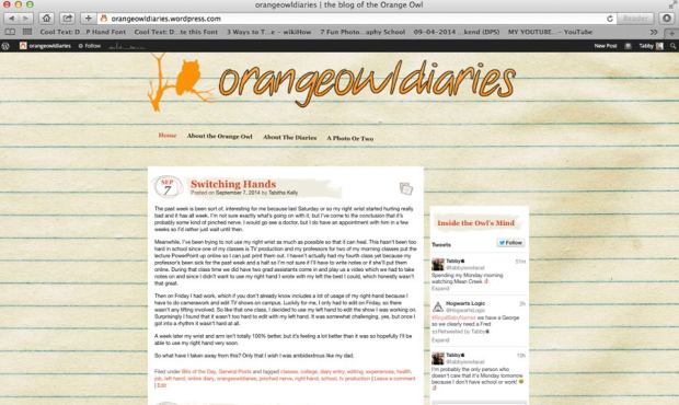 orangeowldiaries 2014