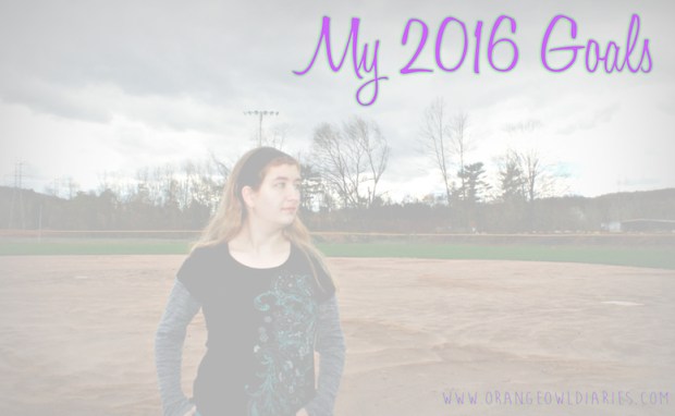 my 2016 goals