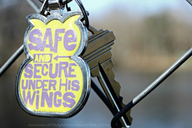 Safe under His wings