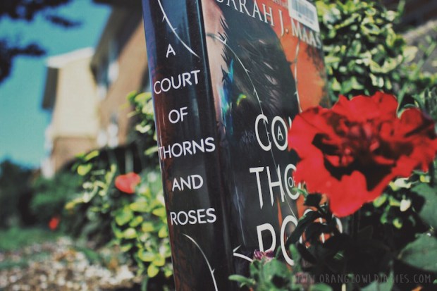 a court of thorns and roses